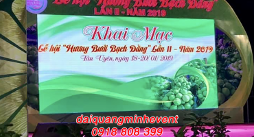 Cho Thuê Màn Hình LED Uy Tín Chất Lượng